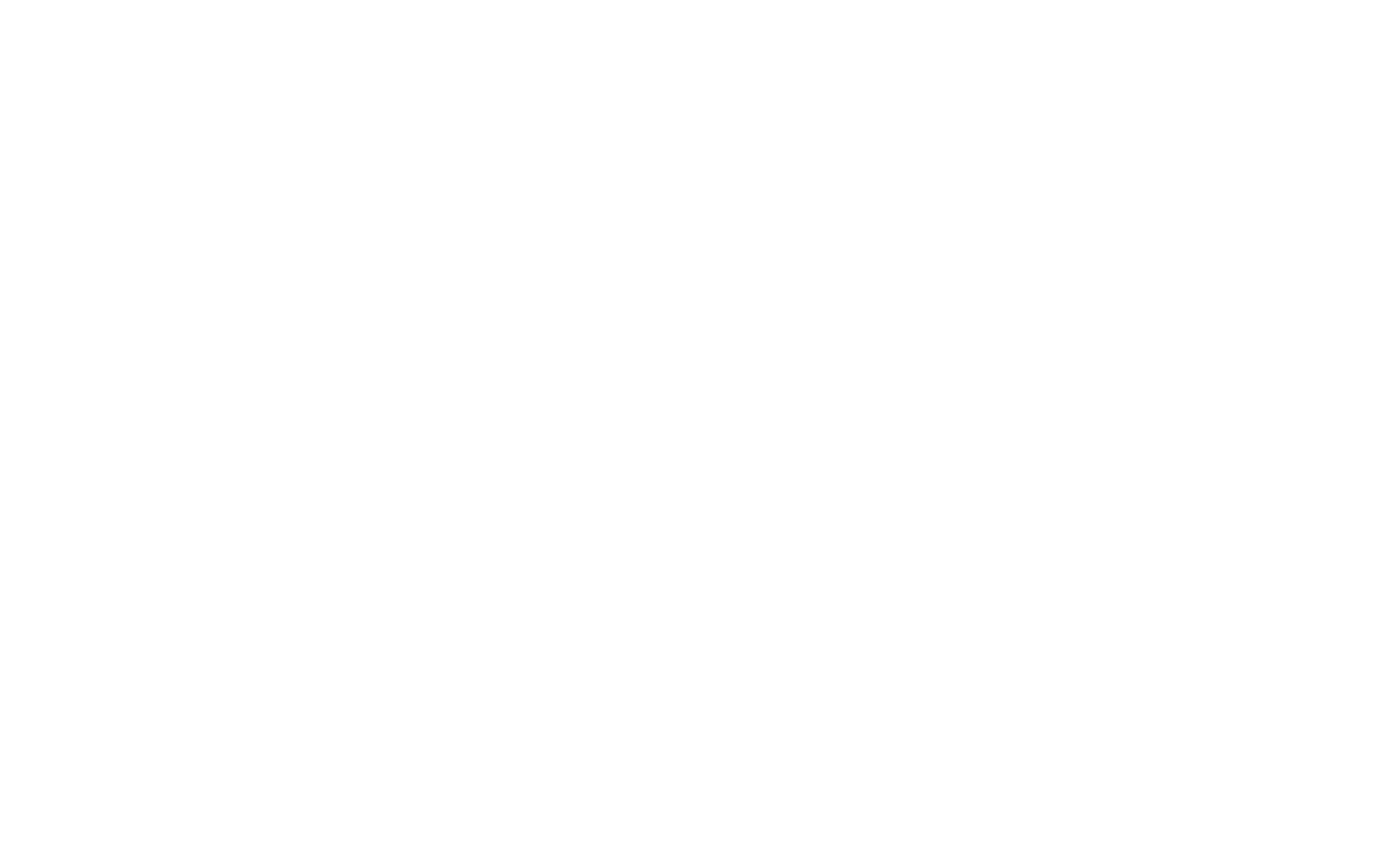Ninja Warrior Germany Logo